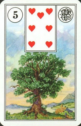 Medis (čirvų septynakė)